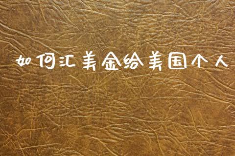 如何汇美金给美国个人_https://m.sdyuehang.cn_恒指直播_第1张