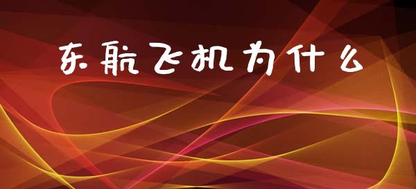 东航飞机为什么_https://m.sdyuehang.cn_恒指直播_第1张
