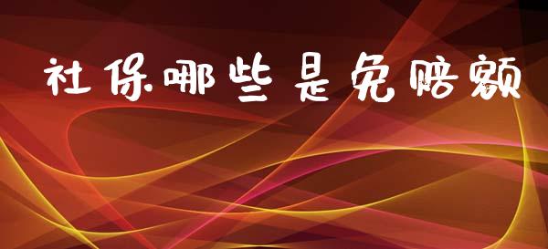 社保哪些是免赔额_https://m.sdyuehang.cn_纳指直播喊单_第1张