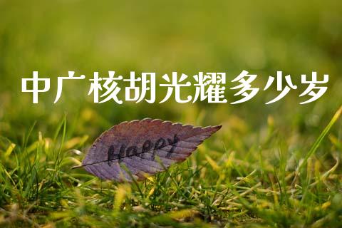 中广核胡光耀多少岁_https://m.sdyuehang.cn_国际期货恒指直播间_第1张