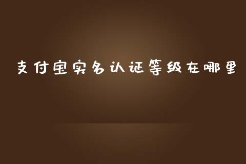 支付宝实名认证等级在哪里_https://m.sdyuehang.cn_德指直播室_第1张