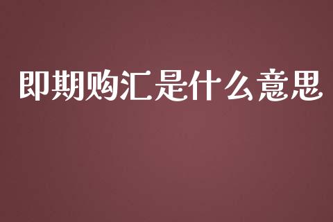 即期购汇是什么意思_https://m.sdyuehang.cn_德指直播室_第1张