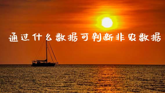 通过什么数据可判断非农数据_https://m.sdyuehang.cn_纳指直播喊单_第1张