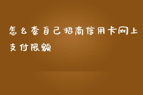 怎么查自己招商信用卡网上支付限额_https://m.sdyuehang.cn_德指直播室_第1张