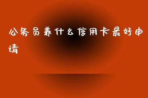 公务员养什么信用卡最好申请_https://m.sdyuehang.cn_恒指直播_第1张