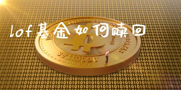 lof基金如何赎回_https://m.sdyuehang.cn_国际期货恒指直播间_第1张