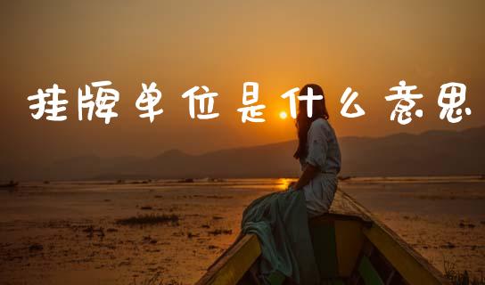 挂牌单位是什么意思_https://m.sdyuehang.cn_德指直播室_第1张