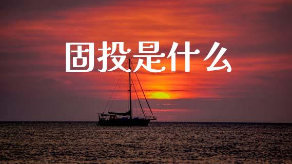 固投是什么_https://m.sdyuehang.cn_纳指直播喊单_第1张