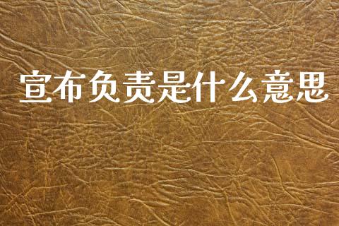宣布负责是什么意思_https://m.sdyuehang.cn_德指直播室_第1张