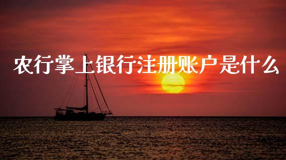 农行掌上银行注册账户是什么_https://m.sdyuehang.cn_纳指直播喊单_第1张