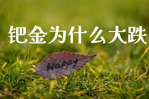 钯金为什么大跌_https://m.sdyuehang.cn_国际期货恒指直播间_第1张