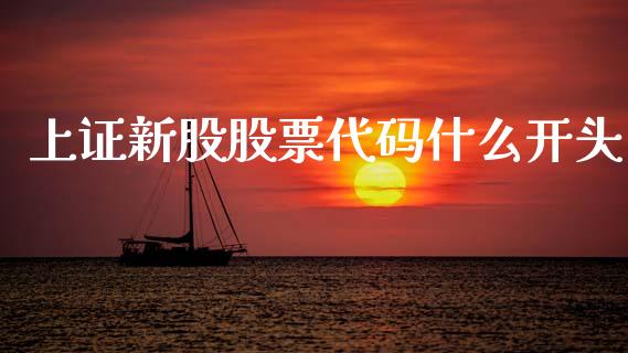 上证新股股票代码什么开头_https://m.sdyuehang.cn_恒指直播_第1张
