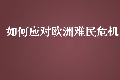 如何应对欧洲难民危机_https://m.sdyuehang.cn_纳指直播喊单_第1张