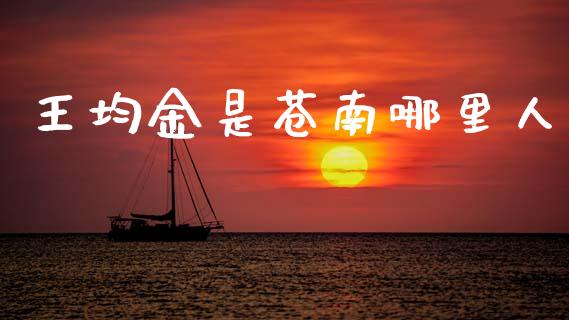 王均金是苍南哪里人_https://m.sdyuehang.cn_恒指直播_第1张
