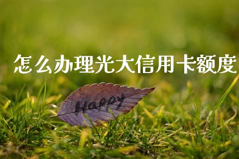 怎么办理光大信用卡额度_https://m.sdyuehang.cn_恒指直播_第1张
