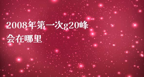2008年第一次g20峰会在哪里_https://m.sdyuehang.cn_德指直播室_第1张