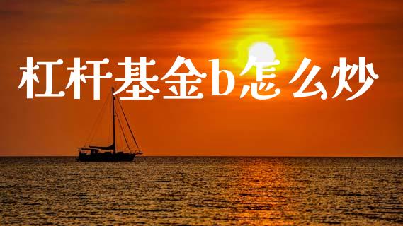 杠杆基金b怎么炒_https://m.sdyuehang.cn_国际期货恒指直播间_第1张