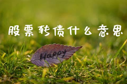 股票转债什么意思_https://m.sdyuehang.cn_德指直播室_第1张