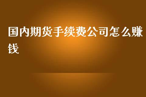 国内期货手续费公司怎么赚钱_https://m.sdyuehang.cn_国际期货恒指直播间_第1张
