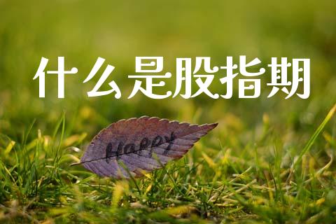 什么是股指期_https://m.sdyuehang.cn_国际期货恒指直播间_第1张