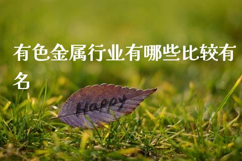 有色金属行业有哪些比较有名_https://m.sdyuehang.cn_国际期货恒指直播间_第1张