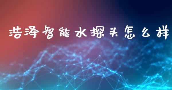 浩泽智能水探头怎么样_https://m.sdyuehang.cn_纳指直播喊单_第1张
