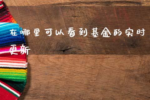在哪里可以看到基金的实时更新_https://m.sdyuehang.cn_纳指直播喊单_第1张