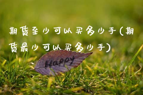 期货至少可以买多少手(期货最少可以买多少手)_https://m.sdyuehang.cn_恒指直播_第1张