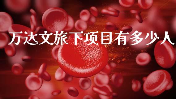 万达文旅下项目有多少人_https://m.sdyuehang.cn_纳指直播喊单_第1张