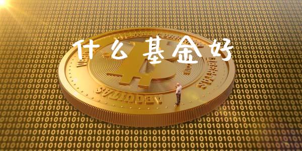什么基金好_https://m.sdyuehang.cn_纳指直播喊单_第1张