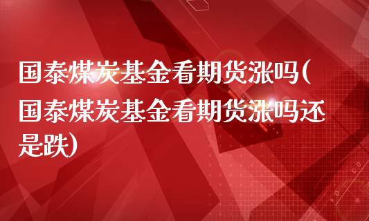 国泰煤炭基金看期货涨吗(国泰煤炭基金看期货涨吗还是跌)_https://m.sdyuehang.cn_恒指直播_第1张