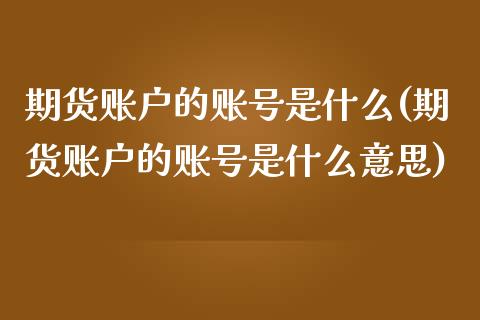 期货账户的账号是什么(期货账户的账号是什么意思)_https://m.sdyuehang.cn_纳指直播喊单_第1张