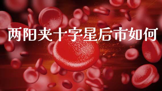 两阳夹十字星后市如何_https://m.sdyuehang.cn_纳指直播喊单_第1张