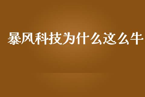 暴风科技为什么这么牛_https://m.sdyuehang.cn_恒指直播_第1张