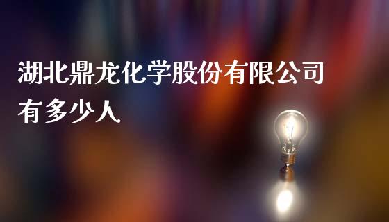 湖北鼎龙化学股份有限公司有多少人_https://m.sdyuehang.cn_德指直播室_第1张