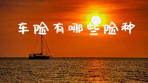 车险有哪些险种_https://m.sdyuehang.cn_纳指直播喊单_第1张