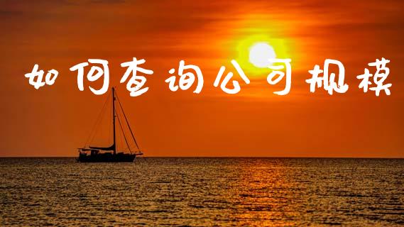 如何查询公司规模_https://m.sdyuehang.cn_恒指直播_第1张
