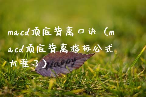 macd顶底背离口诀（macd顶底背离指标公式,太准了）_https://m.sdyuehang.cn_德指直播室_第1张