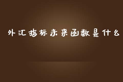 外汇指标未来函数是什么_https://m.sdyuehang.cn_国际期货恒指直播间_第1张