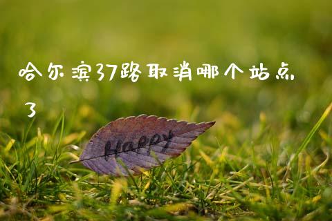 哈尔滨37路取消哪个站点了_https://m.sdyuehang.cn_德指直播室_第1张