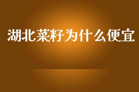 湖北菜籽为什么便宜_https://m.sdyuehang.cn_德指直播室_第1张