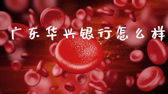 广东华兴银行怎么样_https://m.sdyuehang.cn_纳指直播喊单_第1张