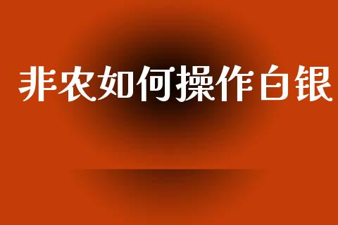 非农如何操作白银_https://m.sdyuehang.cn_纳指直播喊单_第1张