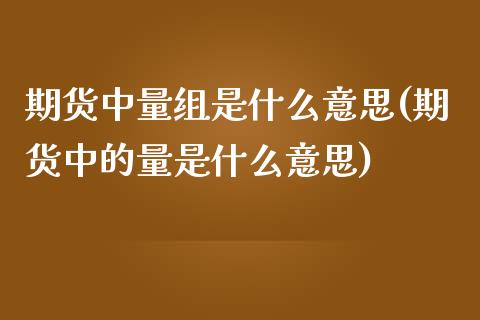 期货中量组是什么意思(期货中的量是什么意思)_https://m.sdyuehang.cn_恒指直播_第1张