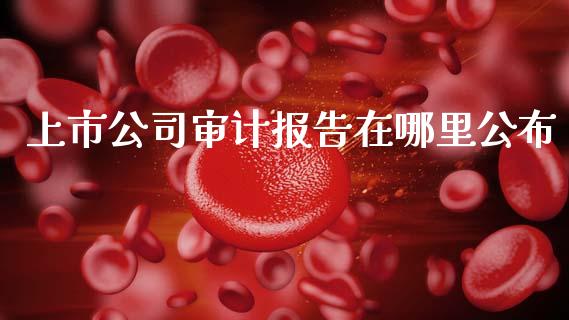 上市公司审计报告在哪里公布_https://m.sdyuehang.cn_德指直播室_第1张