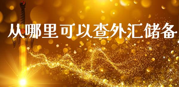 从哪里可以查外汇储备_https://m.sdyuehang.cn_国际期货恒指直播间_第1张