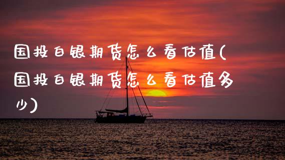 国投白银期货怎么看估值(国投白银期货怎么看估值多少)_https://m.sdyuehang.cn_国际期货恒指直播间_第1张