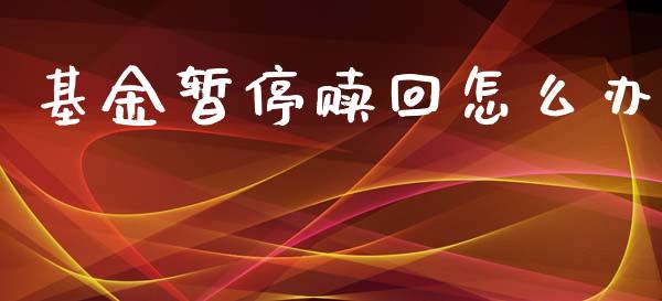 基金暂停赎回怎么办_https://m.sdyuehang.cn_纳指直播喊单_第1张