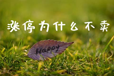 涨停为什么不卖_https://m.sdyuehang.cn_恒指直播_第1张