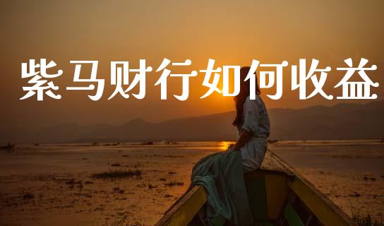 紫马财行如何收益_https://m.sdyuehang.cn_纳指直播喊单_第1张